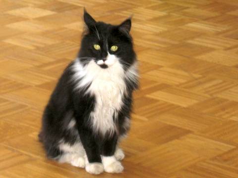Tiffy_03062010_2